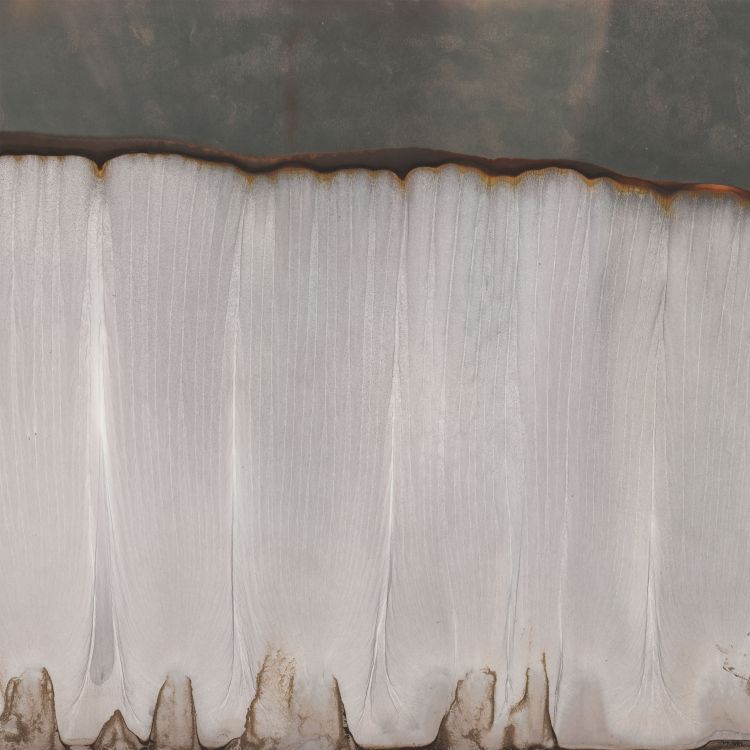Exhibitions for Dan Harnett